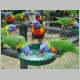 8. er komen tientallen van deze mooie papegaaien op af.JPG